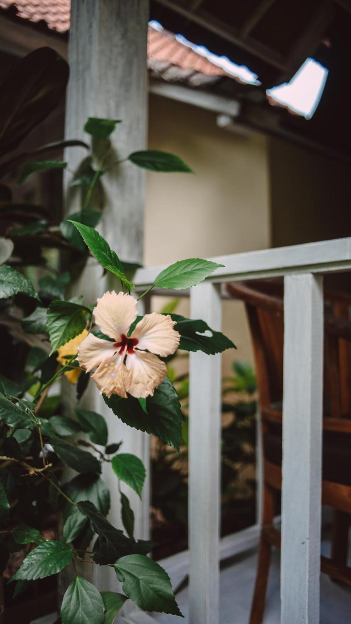 The Lucky Cottage Nusa Lembongan  Exterior photo